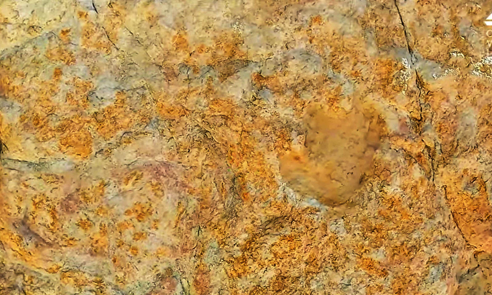 Sul Informação - VÍDEO: Geologia e paleontologia dos dinossauros da Praia dos Arrifes