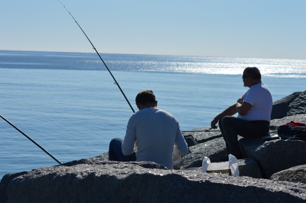 Sul Informação - DGRM desafia pescadores lúdicos a participar em estudo sobre a atividade