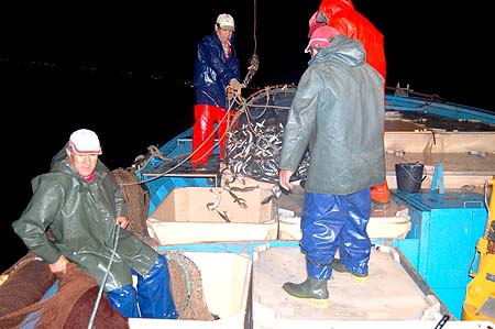 Sul Informação - Pesca da sardinha pode parar em Portimão devido a normas restritivas impostas pelo INRB