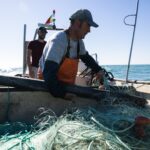 Sul Informação - Hugo Padinha, o jovem pescador da Culatra que segue a tradição da família