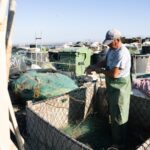 Sul Informação - Hugo Padinha, o jovem pescador da Culatra que segue a tradição da família