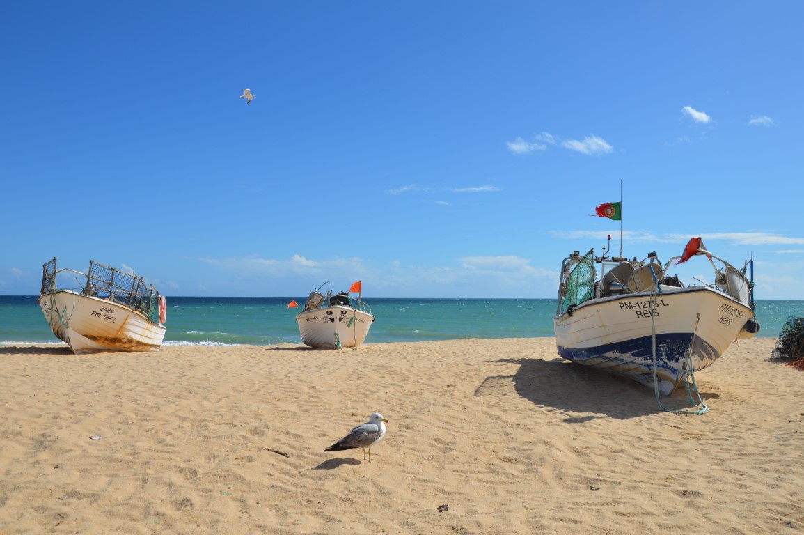Sul Informação - Silves assinala Dia Internacional da Limpeza Costeira em Armação de Pêra