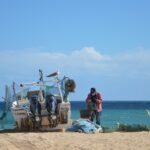 Sul Informação - «Bola está no lado do Governo» quanto à criação do Parque Natural Marinho do Recife do Algarve