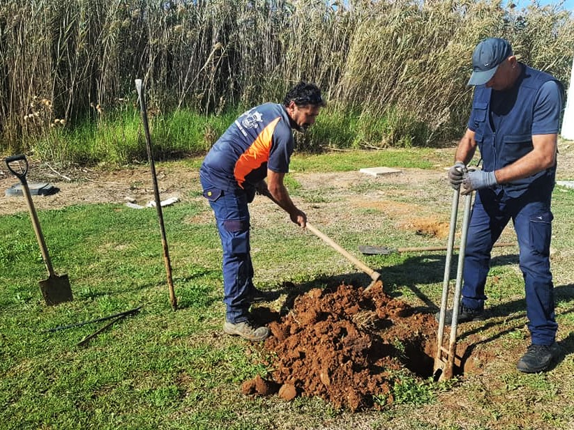 Sul Informação - União de Freguesias de Faro planta meia centena de árvores no Parque Ribeirinho