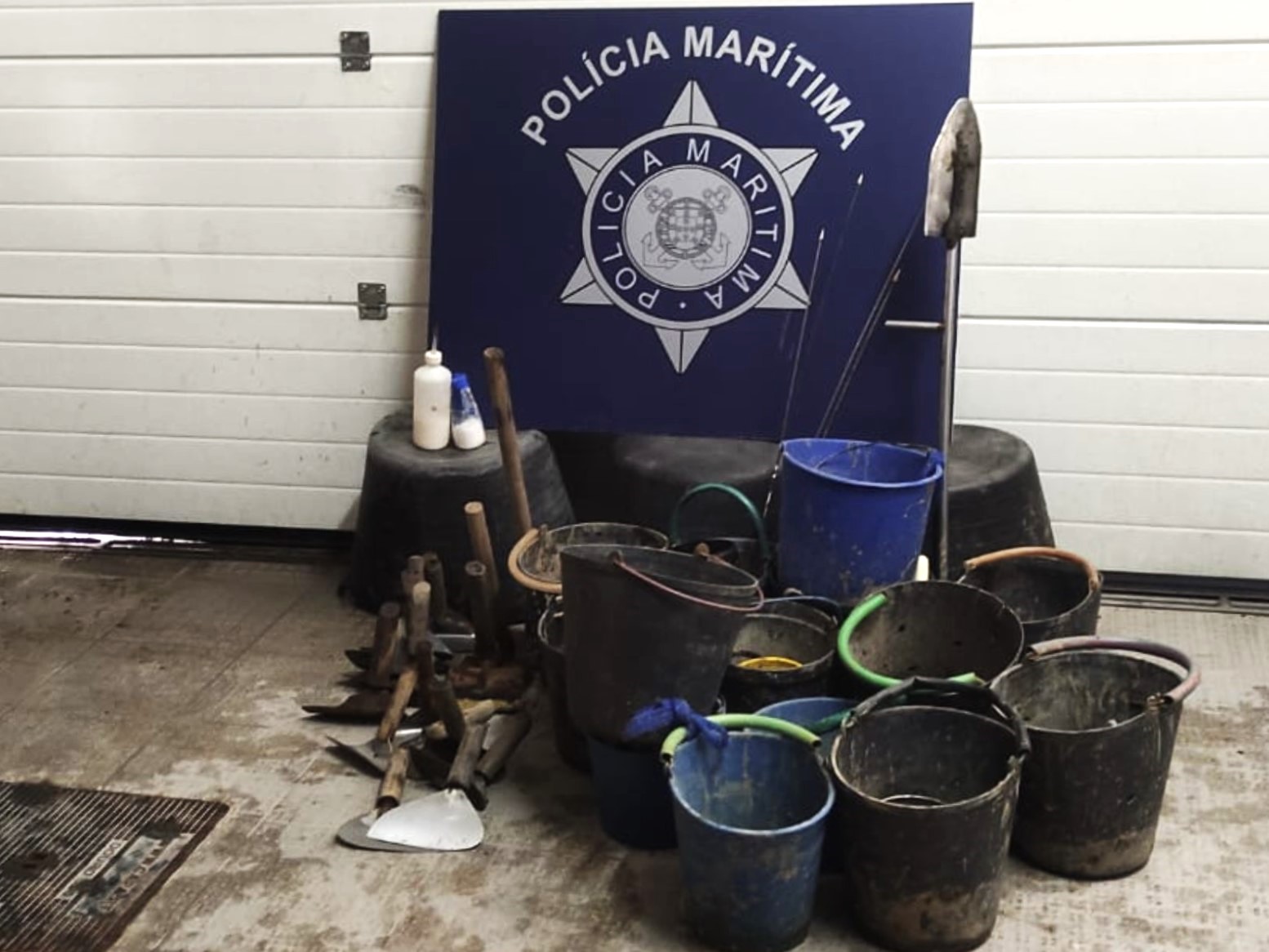Sul Informação - Polícia Marítima apreende 30 quilos de bivalves apanhados ilegalmente na Ria Formosa