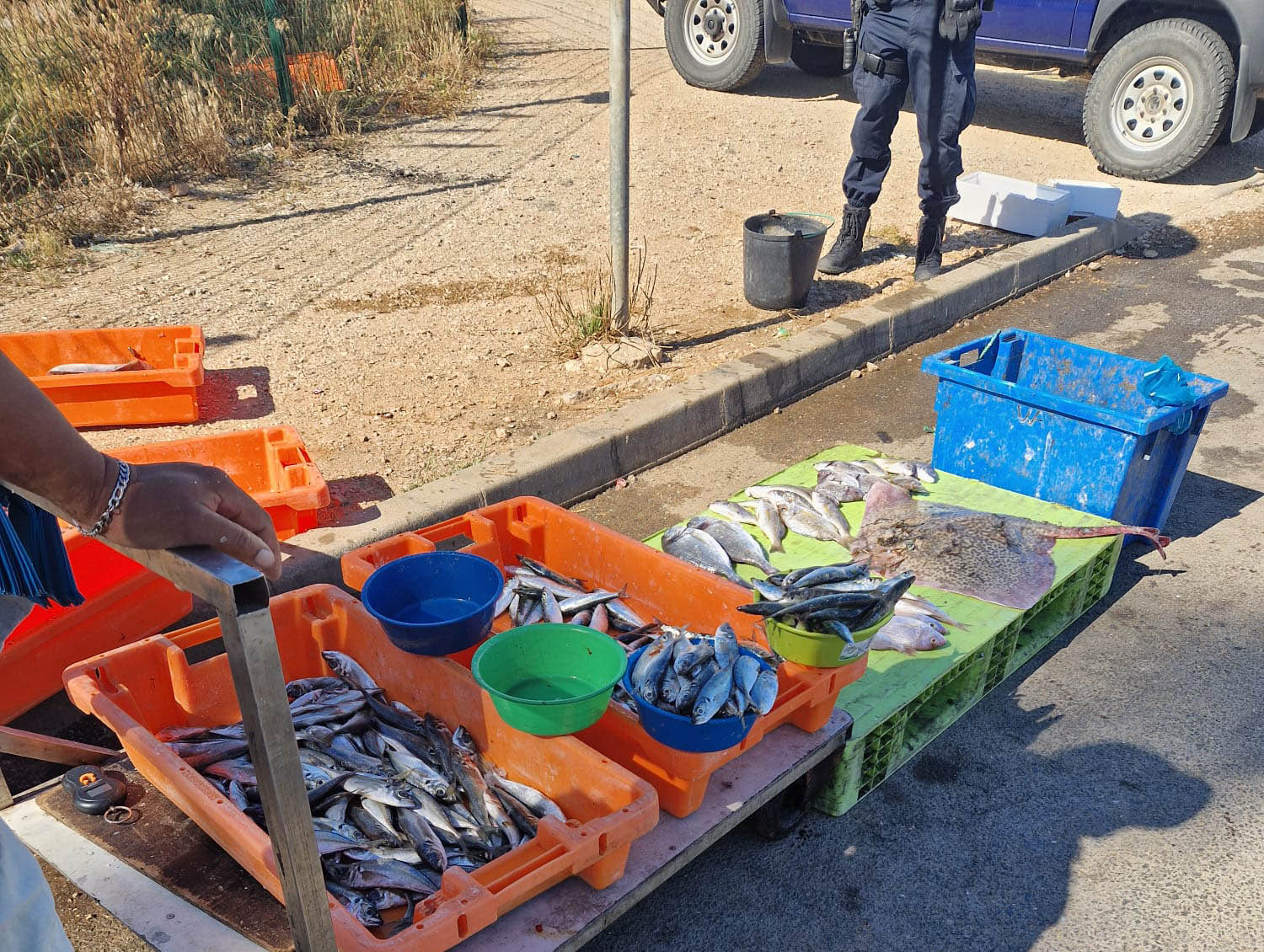Sul Informação - 136 quilos de pescado, santolas e caracóis apreendidos à entrada do Porto de Quarteira