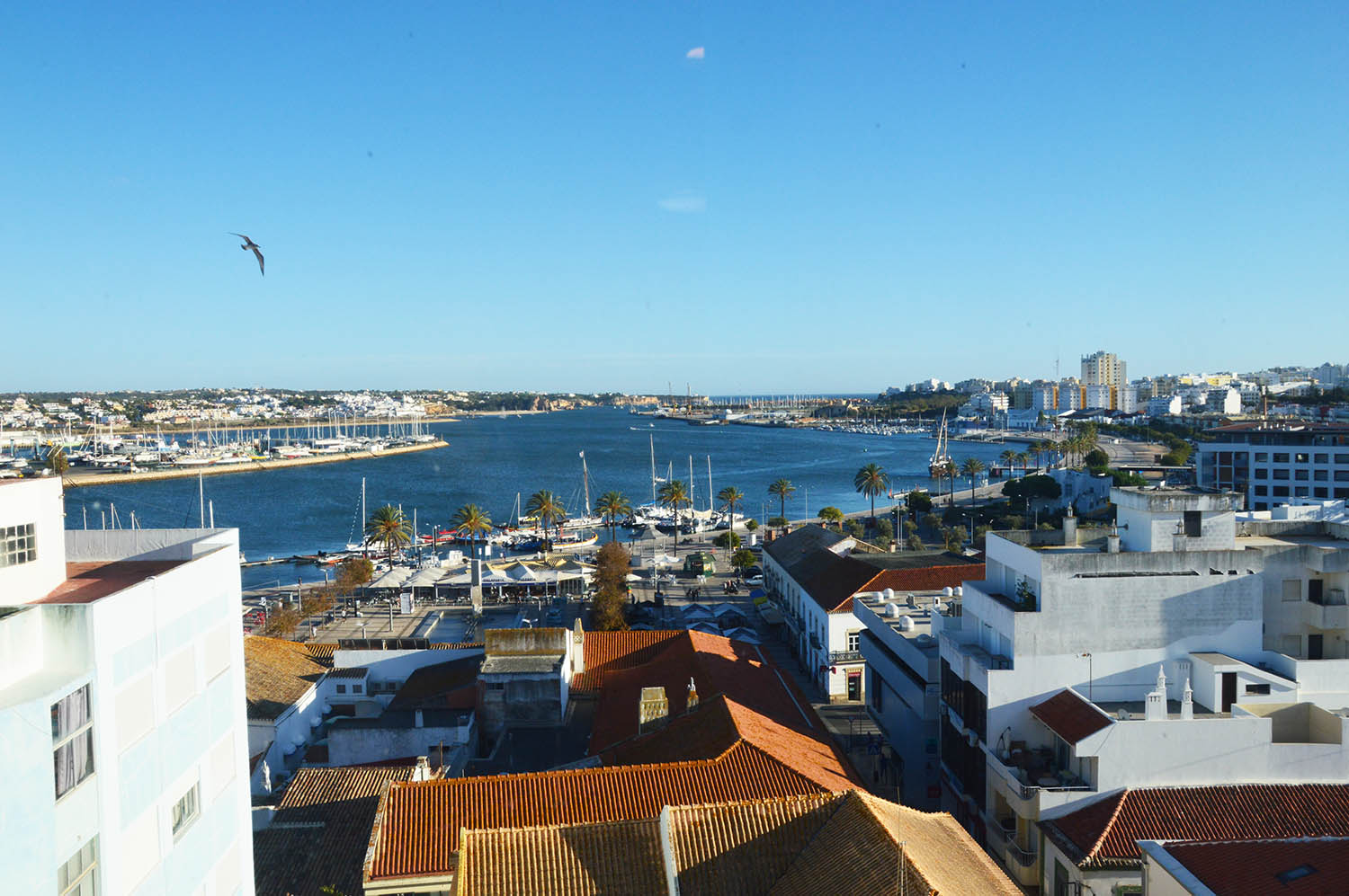 Sul Informação - Portimão é o destino de viagem mais amigo das famílias em Portugal