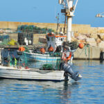 Sul Informação - Pescadores já se podem candidatar aos 1,2 milhões para compensar Parque Marinho