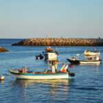 Sul Informação - Pescadores já se podem candidatar aos 1,2 milhões para compensar Parque Marinho