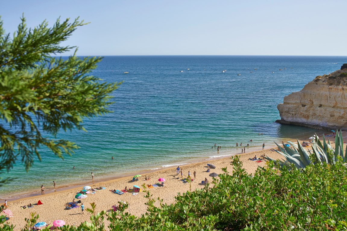 Sul Informação - Algarve “mostra-se” em Lisboa, Porto e Coimbra