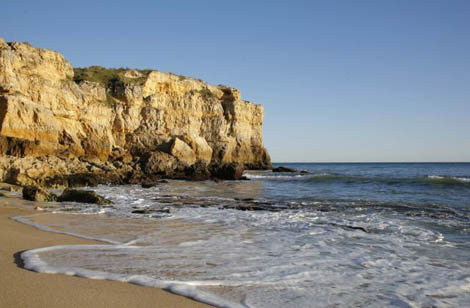Sul Informação - Albufeira lidera lista nacional das praias com qualidade de ouro