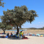 Sul Informação - Praia fluvial de Monsaraz recebe iniciativa SUPerar para mostrar que o desporto é para todos