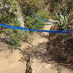 Sul Informação - Albufeira: Praia do Ninho das Andorinhas evacuada devido a risco de derrocada
