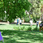 Sul Informação - Primavera Literária de Faro está de volta ao Jardim da Alameda