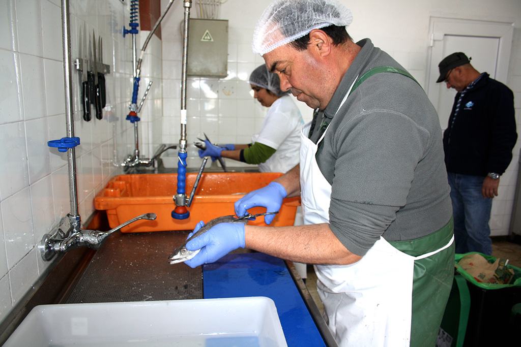 Projeto Cabaz FrescoMar_2