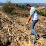 Sul Informação - Com árvores autóctones e rega localizada se refloresta as serranias de Castro Marim
