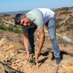 Sul Informação - Com árvores autóctones e rega localizada se refloresta as serranias de Castro Marim