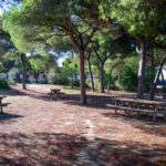 Sul Informação - Turismo do Algarve investe no Parque Natural da Ria Formosa já a pensar na cogestão