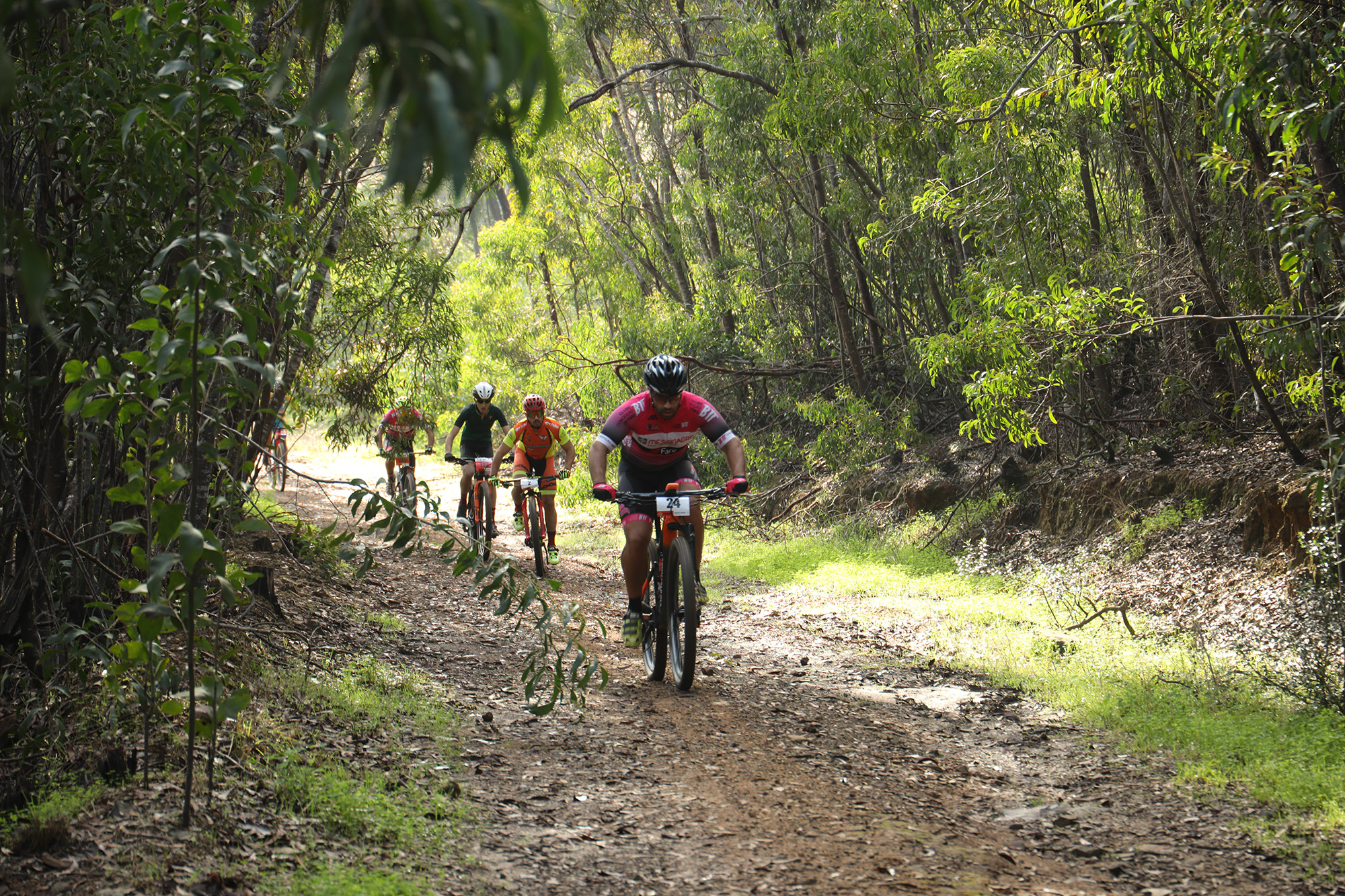 Sul Informação - Balanço de 12 anos da rede de centros Cyclin’Portugal faz-se em Lagos