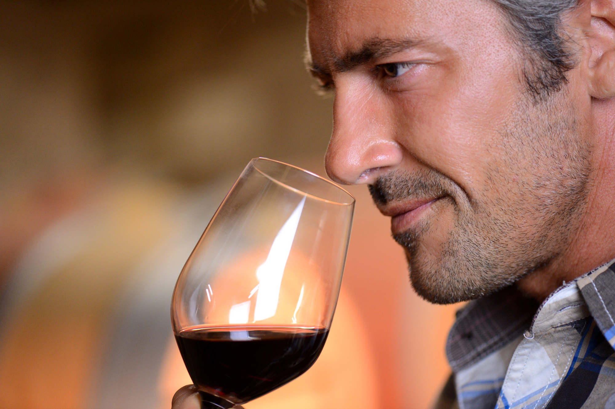 Sul Informação - Comissão Vitivinícola promove “Algarve Entre Pratos e Vinhos”