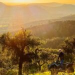 Sul Informação - Quinta do Freixo promove evento dedicado à agricultura regenerativa