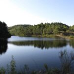 Sul Informação - Quinta do Freixo promove evento dedicado à agricultura regenerativa