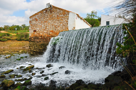 Sul Informação - LPN Algarve promove passeio pelo Parque Municipal do Sítio das Fontes