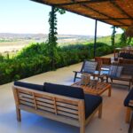Sul Informação - Arvad elege Negra Mole como «bandeira» e aposta no enoturismo com hotel boutique