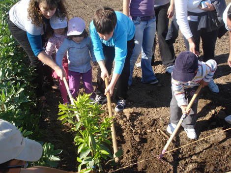 Sul Informação - Quinta Pedagógica de Portimão promove workshops sobre hortas