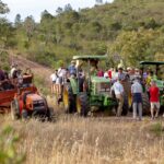 Sul Informação - Quinta do Freixo mostrou os resultados da sua aposta na agricultura regenerativa