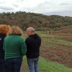 Sul Informação - Programa REACT-EU mostra que interior de Loulé não está esquecido