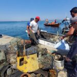 Sul Informação - Voluntários juntam-se à Marinha para recolher 3 toneladas de lixo nas praias e na Culatra