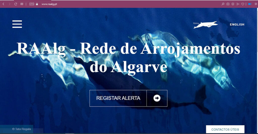 Sul Informação
