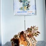 Sul Informação - Sylvain Bongard expõe «Regresso da Maré» no Museu de Portimão (com fotos)