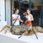 Sul Informação - Sylvain Bongard expõe «Regresso da Maré» no Museu de Portimão (com fotos)