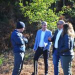 Sul Informação - Carvalho-de-Monchique é o foco da nova fase do programa Renature na serra