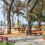 Sul Informação - Olhão tem um novo jardim que poupa água