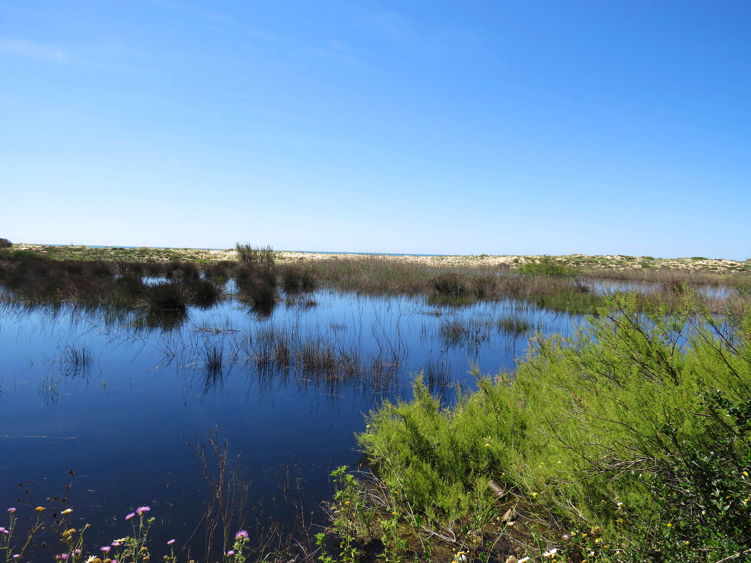 Sul Informação - Câmara de Loulé cria Reserva Natural Local da Foz do Almargem e do Trafal