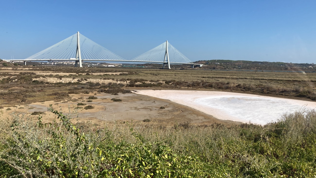Sul Informação - Projeto melhorou condições de visita da Reserva Natural do Sapal de Castro Marim e VRSA
