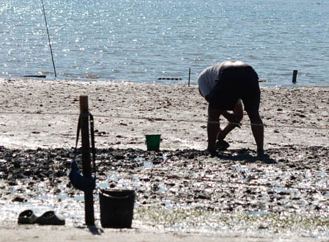 Sul Informação - Deputados dos vários partidos unem-se para exigir audições sobre a Ria Formosa