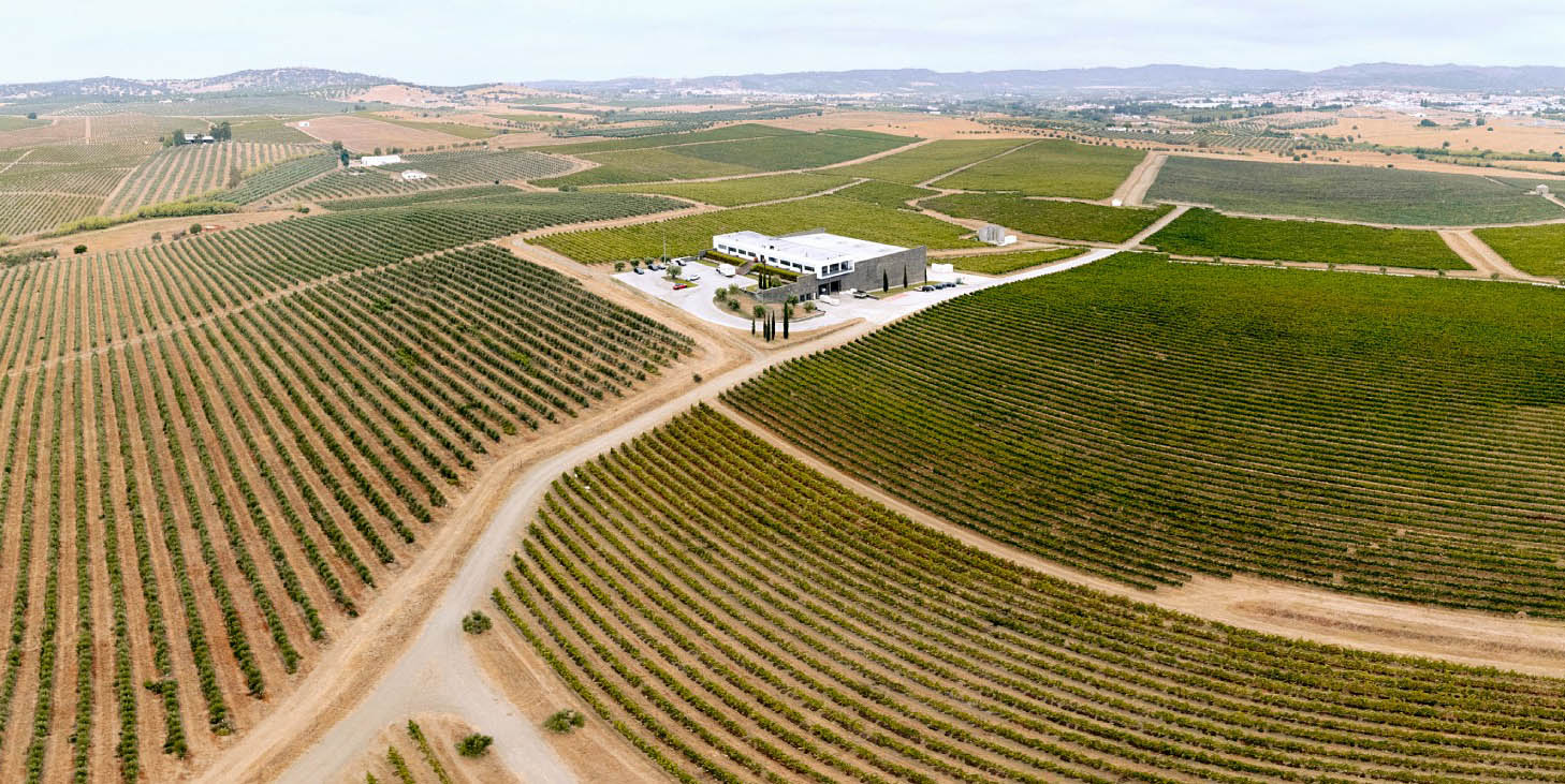 Sul Informação - Grupo vinícola e de enoturismo expande-se para o Alentejo