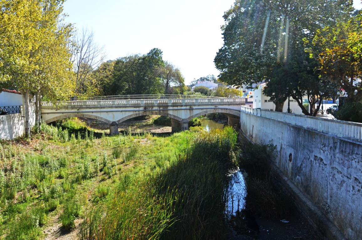 Sul Informação - Associação contesta glifosato nas margens da Ribeira de Aljezur, Câmara garante utilização «controlada»