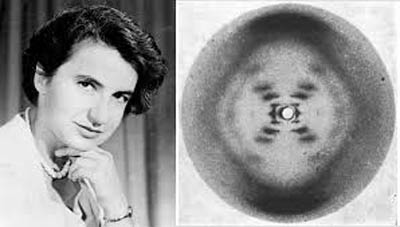 Rosalind_Franklin e a imagem de difracção por cristalografia de raios x que permitiu descodificar a estrutura do ADN Sul Informação