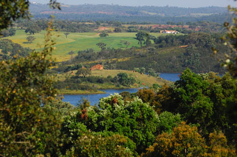 Sul Informação - 6 milhões de euros ligam Sines, Odemira, Aljezur e Vila do Bispo em 240 quilómetros de Ecovia