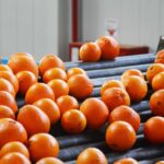 Sul Informação - E que tal visitar a Rota da Laranja de Silves na companhia de Al-Mutamid ou João de Deus?