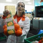 Sul Informação - E que tal visitar a Rota da Laranja de Silves na companhia de Al-Mutamid ou João de Deus?