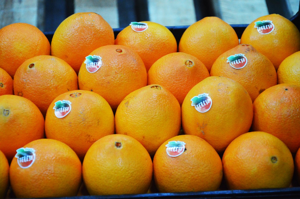 Sul Informação - Mostra da Laranja de Silves vai estar em destaque no programa Somos Portugal