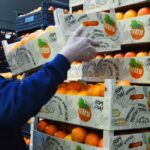 Sul Informação - E que tal visitar a Rota da Laranja de Silves na companhia de Al-Mutamid ou João de Deus?