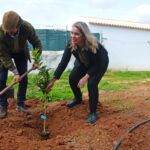 Sul Informação - E que tal visitar a Rota da Laranja de Silves na companhia de Al-Mutamid ou João de Deus?