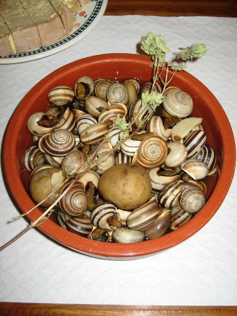 Sul Informação - Rota do Caracol traça mapa do petisco em São Brás de Alportel